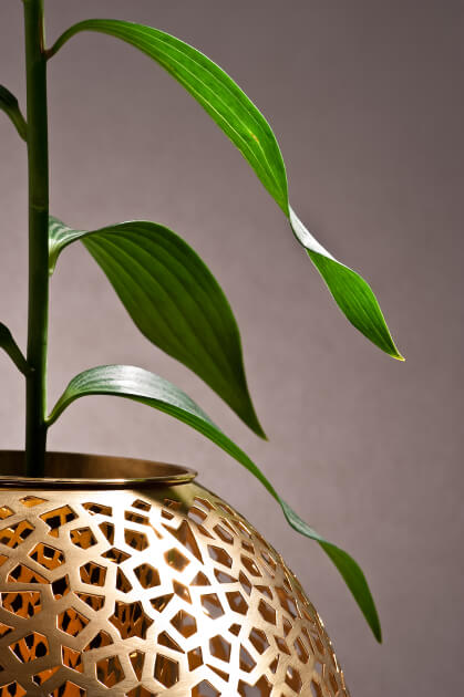 designer-works